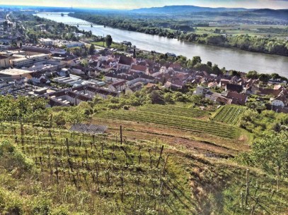 Weingut Stein bei Krems © Pürcher