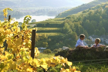 Weingarten © Stift Mattsee