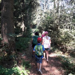 Romantische Waldwanderung zur nächsten Station © Löffelberger