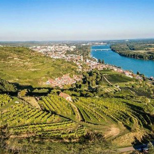 STEINER TERASSEN, Riedenlagen- Namen, im 48ten Br.Grad STEIN - Hinters Kirchl, Pfaffenberg, Pitschental, Danzern, Braunsdorfer, usw., steilste Lage 65%. MAUTERN – Junge Point, Schütz, Strudel, Süssenberg, Raubern, usw..