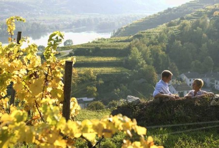 WINZERIDYLLE im WEINGARTEN, Winzerehepaar Stagard im Pitschental, mit südlichem Blick zur Donau aufwärts. Sonne, Wärme und leichte Winde bevorzugen diese Süd ausgerichteten Rieden. © Stagaard