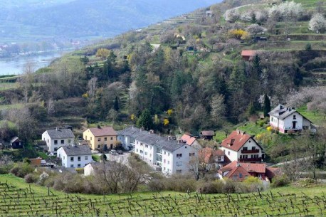 RIEDEN im REISPACHTAL, Wohnhäuser umgeben von privaten, kleinen Hausrieden m. Hütten.