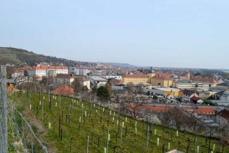 Riede HINTERS KIRCHL, Blick zum Friedhof, mit Gefängnis- STEIN, dahinter Stadt Krems m. Kloster UND, wie der Universität (ehemalige Tabakfabrik).