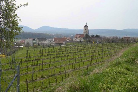 Riede HINTERS KIRCHL, zum Süden mit Pfarrkirche u. Dach vom Presshaus.