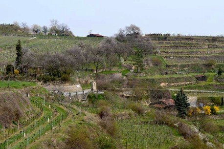 Auffahrt zu den Rieden, mit Aussichtsplatz u. gemauertem Kreuzstock, untere Terassenlagen.