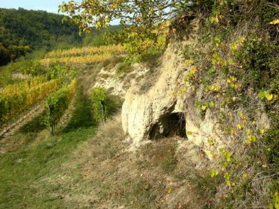 TERASSENLAGEN, mit Löss sandigem Erdreich, ideales TERROIR für Riesling, Weißburgunder usw.