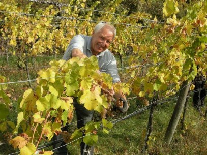 Na ja, mit gutem u. erfreuten Einsatz voraus, es ist immer ein freudiges Erlebnis, aber auch harte Arbeit die müde macht