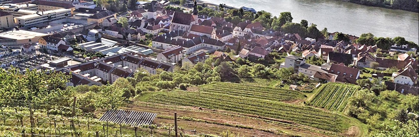 Slider Betriebe Weingut Stein bei Krems © Pürcher