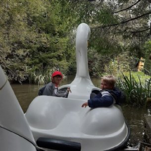 Fahrt mit dem Schwan &copy; Löffelberger