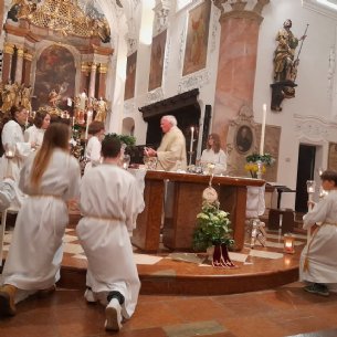 Die Facketräger © M. Löffelberger