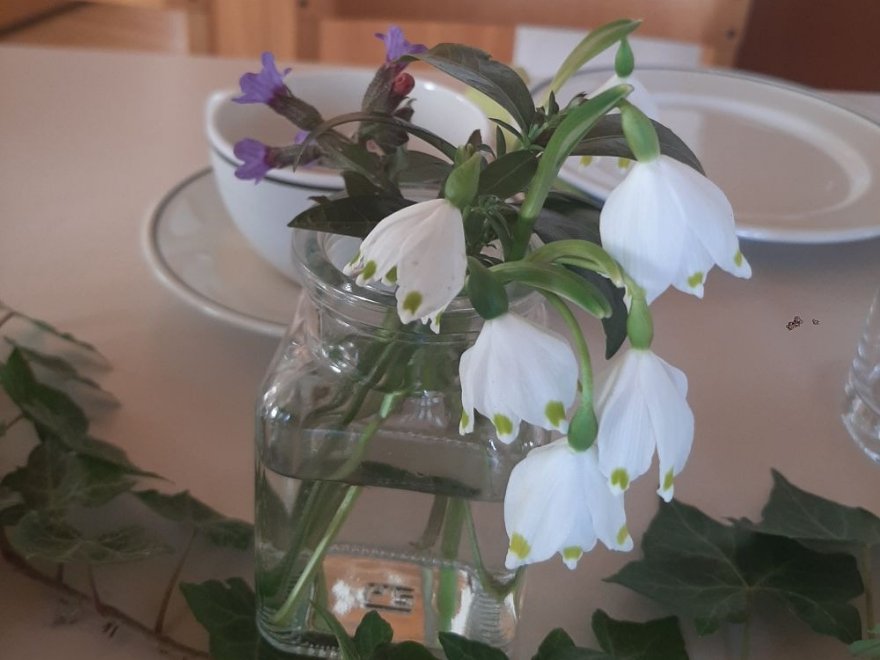 Pfarrkaffee 6.3.2025 &copy; Pfarre_EL