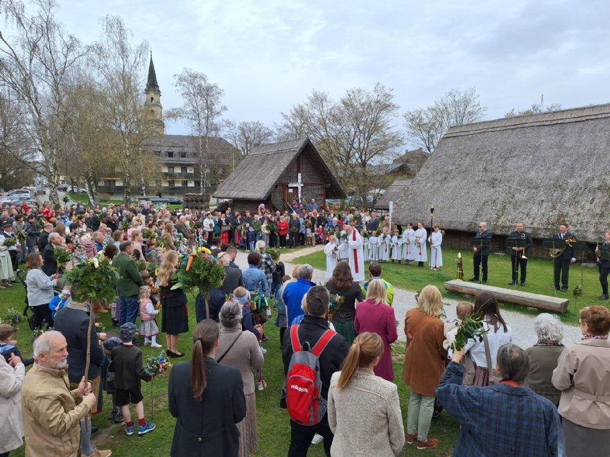 Palmsonntag 2025 &copy; Pfarre_ML