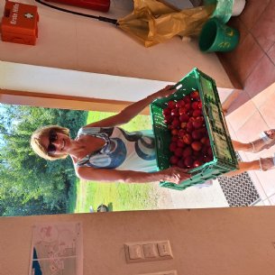 Ministranten- und Jungscharlager 2024 © Pfarre_ML