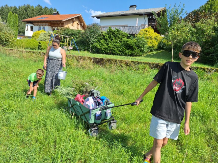 Blumen pflücken © Pfarre_ML