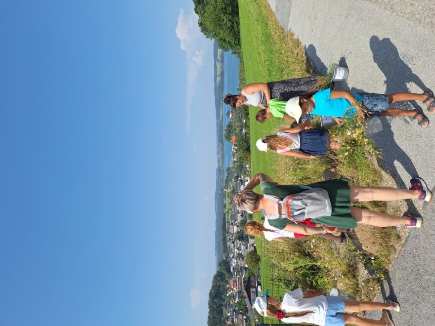 Blumen pflücken © Pfarre_ML