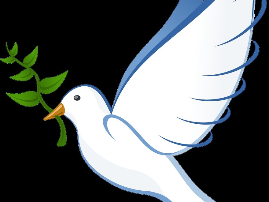 Taube &copy; pixabay