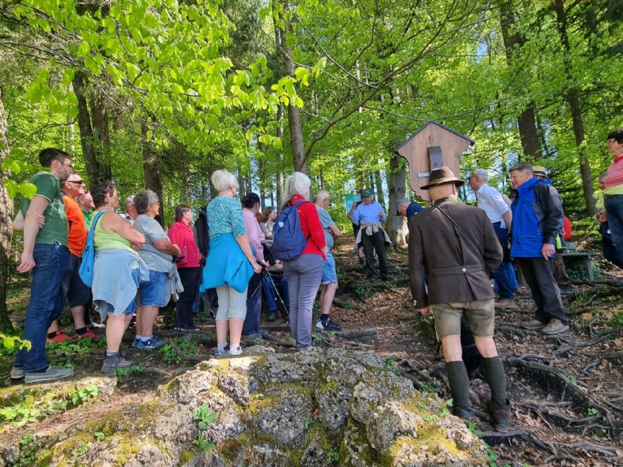 Zellhofwaldführung mit Stiftsförster Höller © Verein_AH