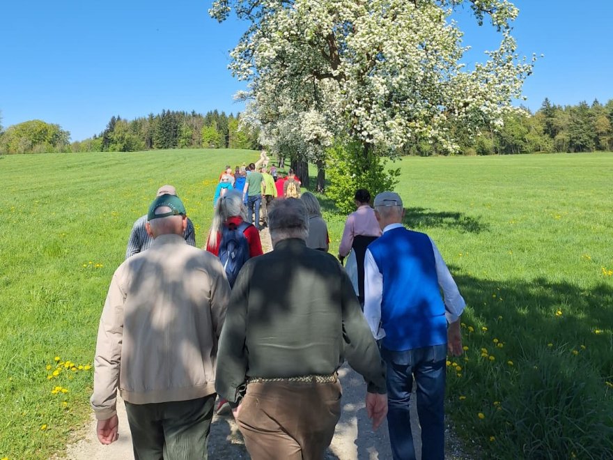 Zellhofwaldwanderung 24.04.2026 &copy; Stift_ML