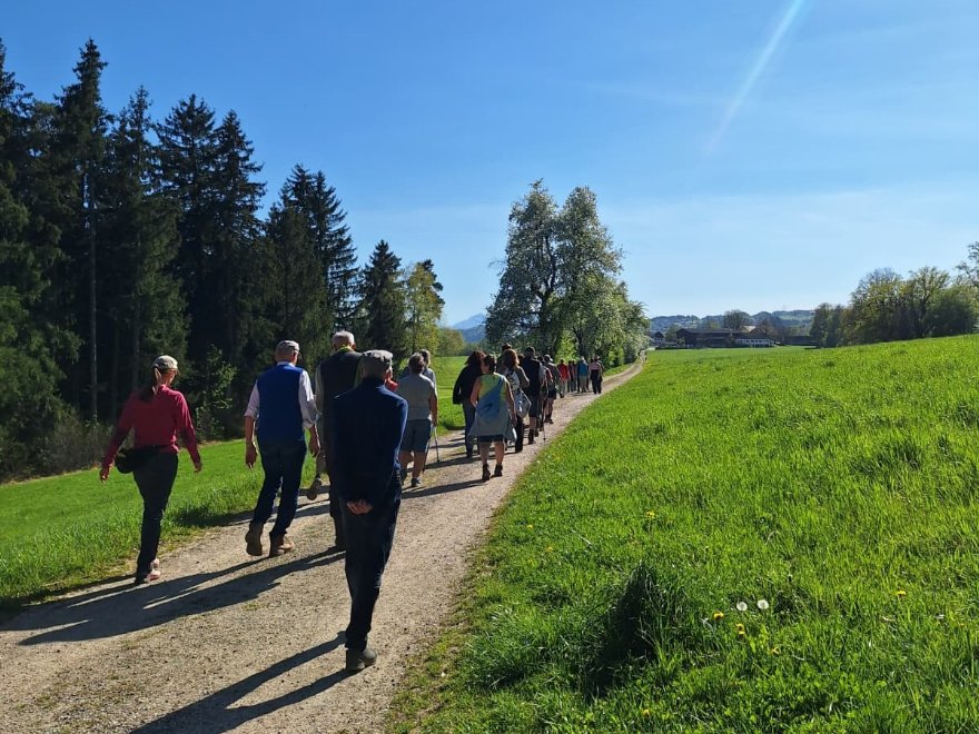Zellhofwaldwanderung 24.04.2026 &copy; Verein_ML